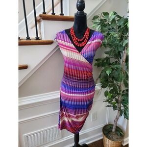 Sofia Women's Multicolor Polyester V-Neck Sleeveless Knee Length Dress Size L